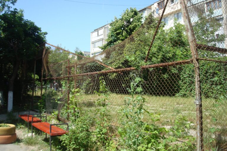 dsc08823