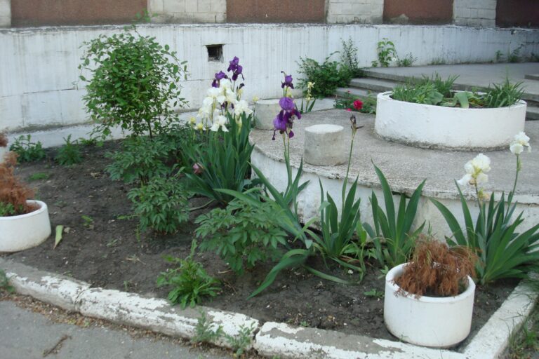 dsc08617