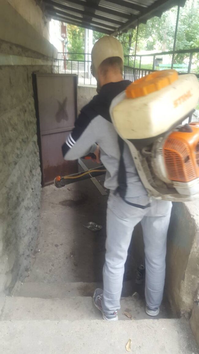 IMG-c30859902a334c9a40f256a1d5174de0-V