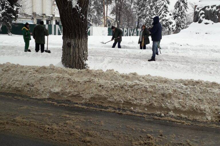 Curăţarea aleelor la scuarul Gaudeamus