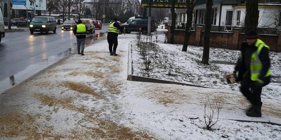 622867666_879114491530512_4861805599210646129_n