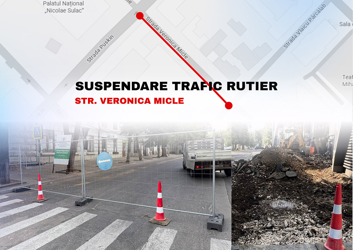 suspendare trafic rutier - 9